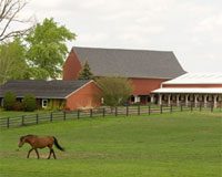 horse pasture