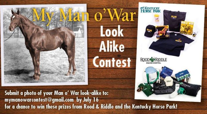 my man o war contest