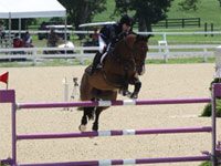 katharine dinan and vancouver won individual gold in show jumping at the 2011 NAJYRC.
