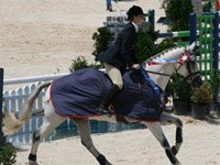 najyrc laura roberts