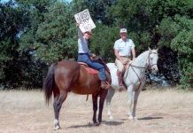 Nancy Reagan: Equestrian nancy reagan horse