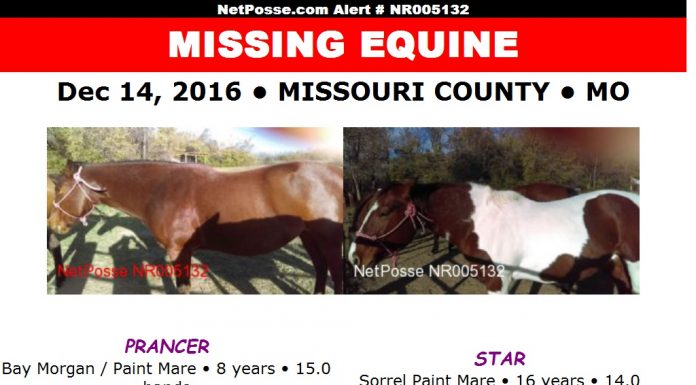 netposse prancer star