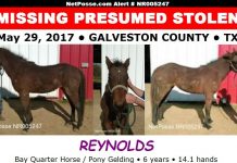 netposse reynolds crop