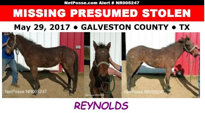 netposse reynolds crop