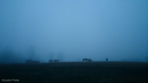 5 Reasons Why I Love Working at the Barn