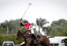 Charity event puts top hunter, jumper, dressage and polo riders in the reining pen nic roldan