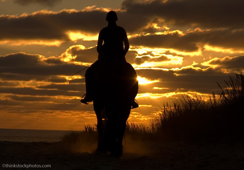 Silhouette of a horse and rider on the beach at sunset