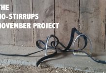 no stirrups november project