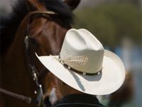 NRCHF Establishes Crisis Fund nrchf