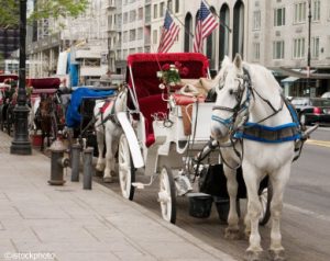 New Mayor Vows to Ban Carriage Horses in New York City