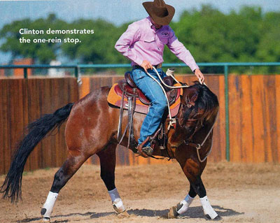 one rein stop