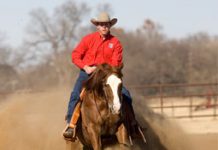 2007 Adequan/USEF Open Reining National Championship Set for Tomorrow open reining