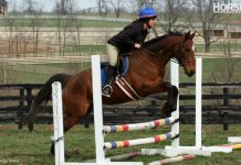 ottb jump