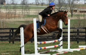 Are you lucky enough to have a Thoroughbred in your life?