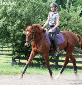 Balancing an Off-Track Thoroughbred