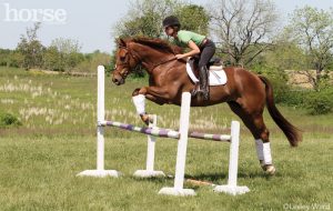 Grid Work for Better Jumping