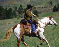 Search is on For the Next APHA World Show Artist paint horse