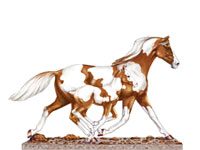 painted ponies winner