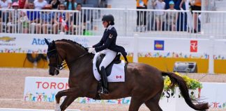 panam dressage