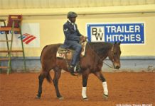 para reining perkins