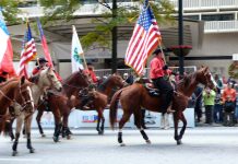 parade flags horses