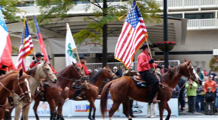 parade flags horses