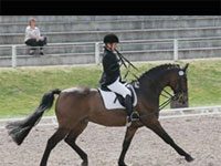 FEI World Para-Equestrian Dressage Championships Begin Today paraequestrian