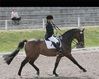 FEI World Para-Equestrian Dressage Championships Begin Today paraequestrian