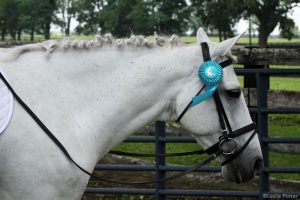 And Here’s Your Participation Ribbon