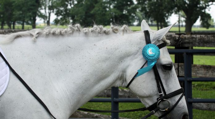 participation ribbon