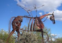 patricia frederick tango