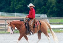 patrick king western dressage