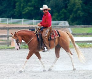 Improve Your Horse’s Transitions