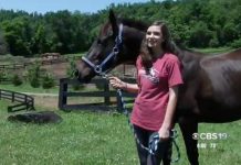 peaceable farm rescue success