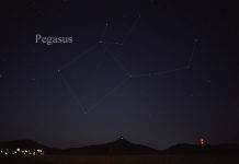pegasus constellation