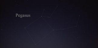 pegasus constellation