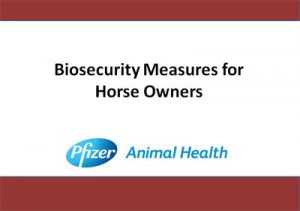 EXTRA CREDIT: Horse Quarantine Procedures