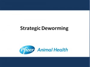 EXTRA CREDIT: Strategic Deworming