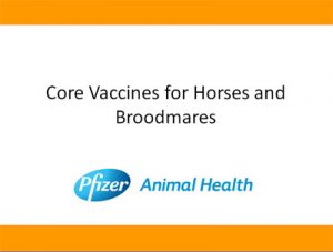 EXTRA CREDIT: Core Vaccines