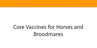 EXTRA CREDIT: Core Vaccines pfizer animal health