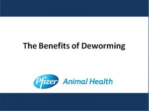 EXTRA CREDIT: Parasite Control Slideshow