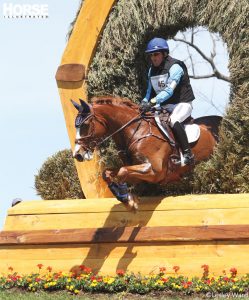 Making the Most of a Hot Horse