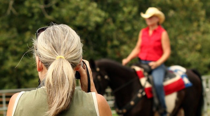 photographing horse