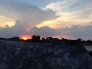 Horse Person Phraseology 101