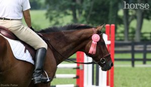How to Run an Equine Event
