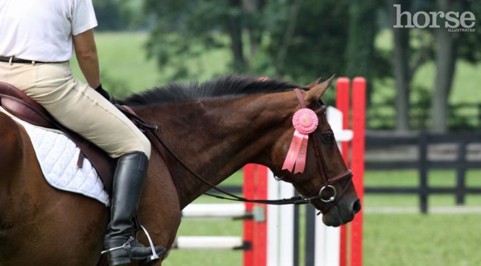 pink horse show ribbon