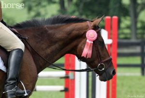 Setting Goals for Each Horse Show