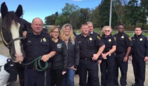 Pittsburgh welcomes first horse for its new mounted police unit