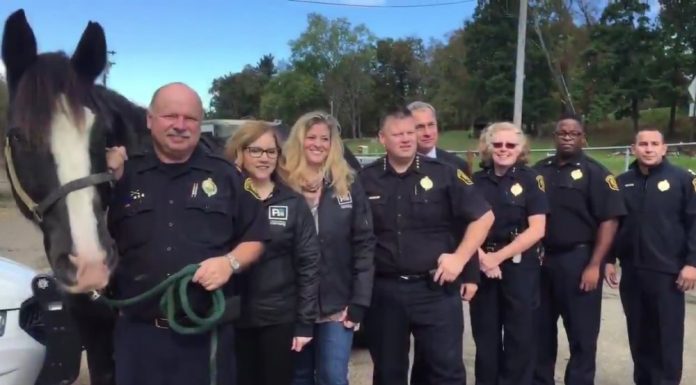 pittsburgh mounted police guinness