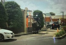 police horse dunkin drive